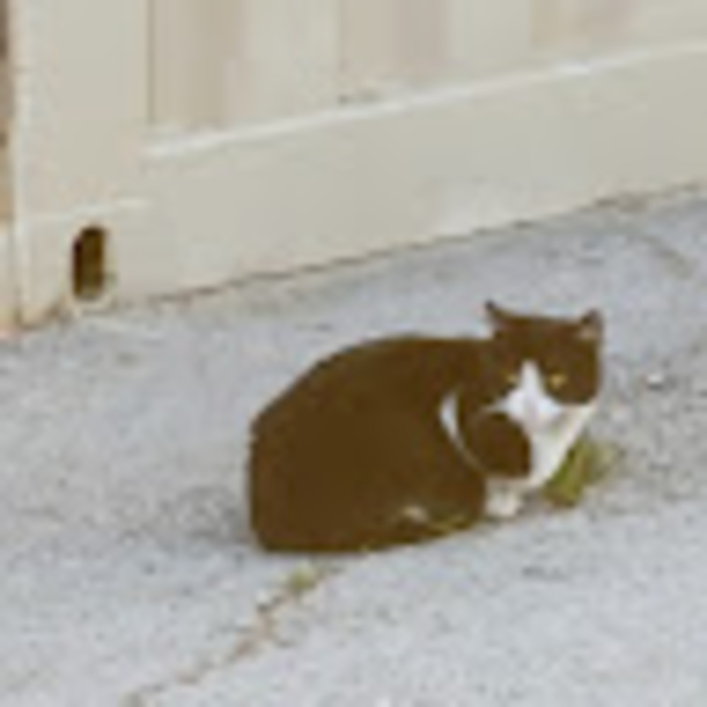 Meet your Posher, Carlos